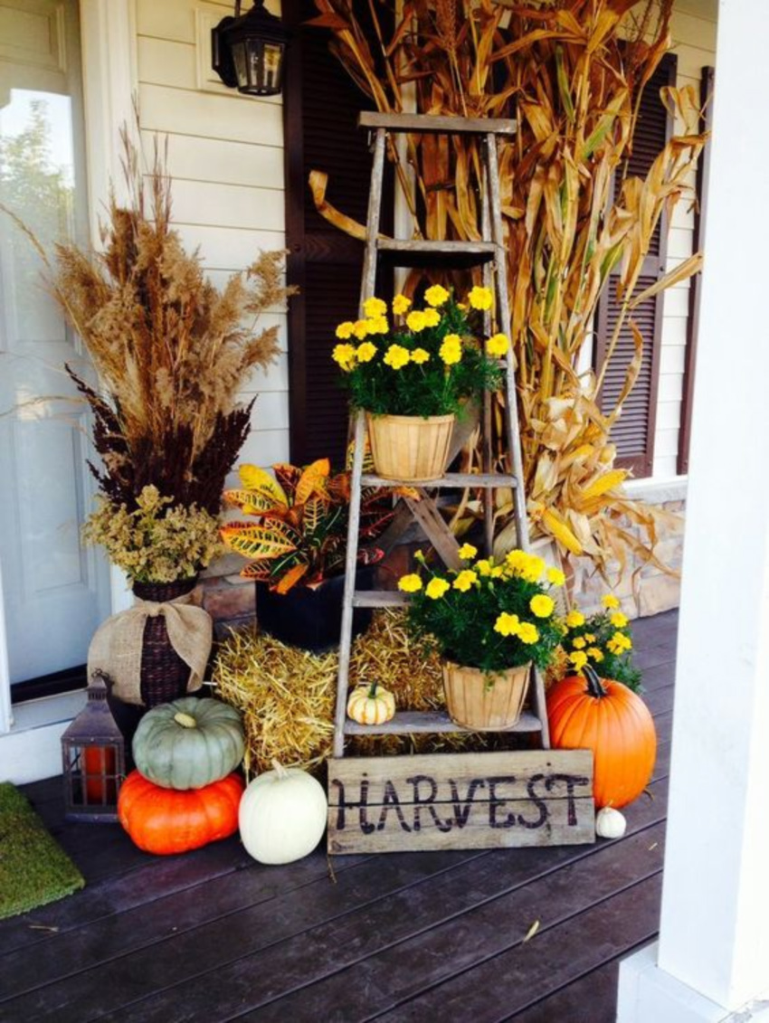 A ladder, some gourds and some flowers are already a great fall combination. Source: Shelterness